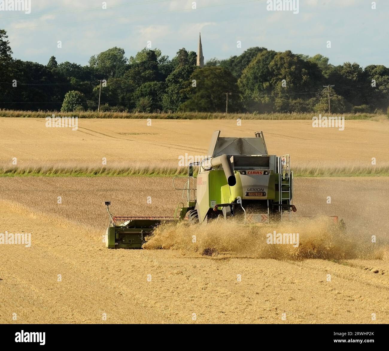 Erntezeit Stockfoto