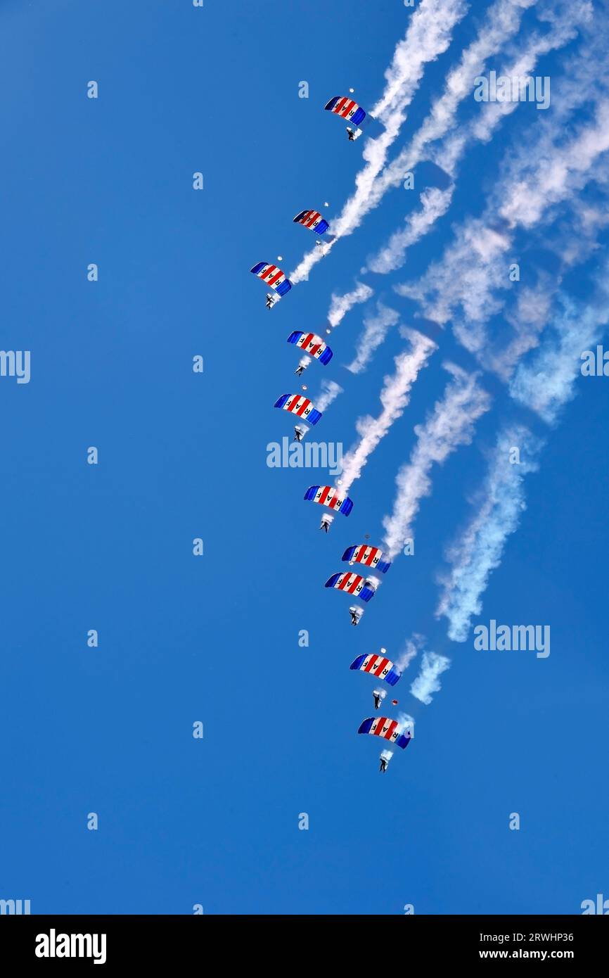 Fliegende Falken-Ausstellungsteam Stockfoto
