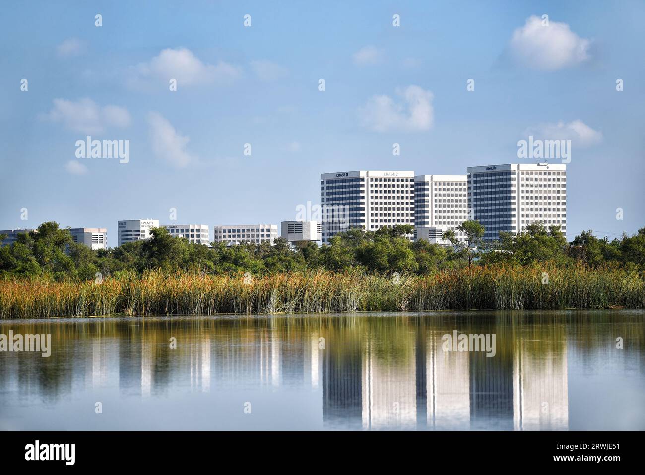 IRIVNE, KALIFORNIEN - 18. SEPTEMBER 2023: Bürogebäude und Hotels in einem Teich im San Joaquin Marsh Wildlife Sanctuary. Stockfoto