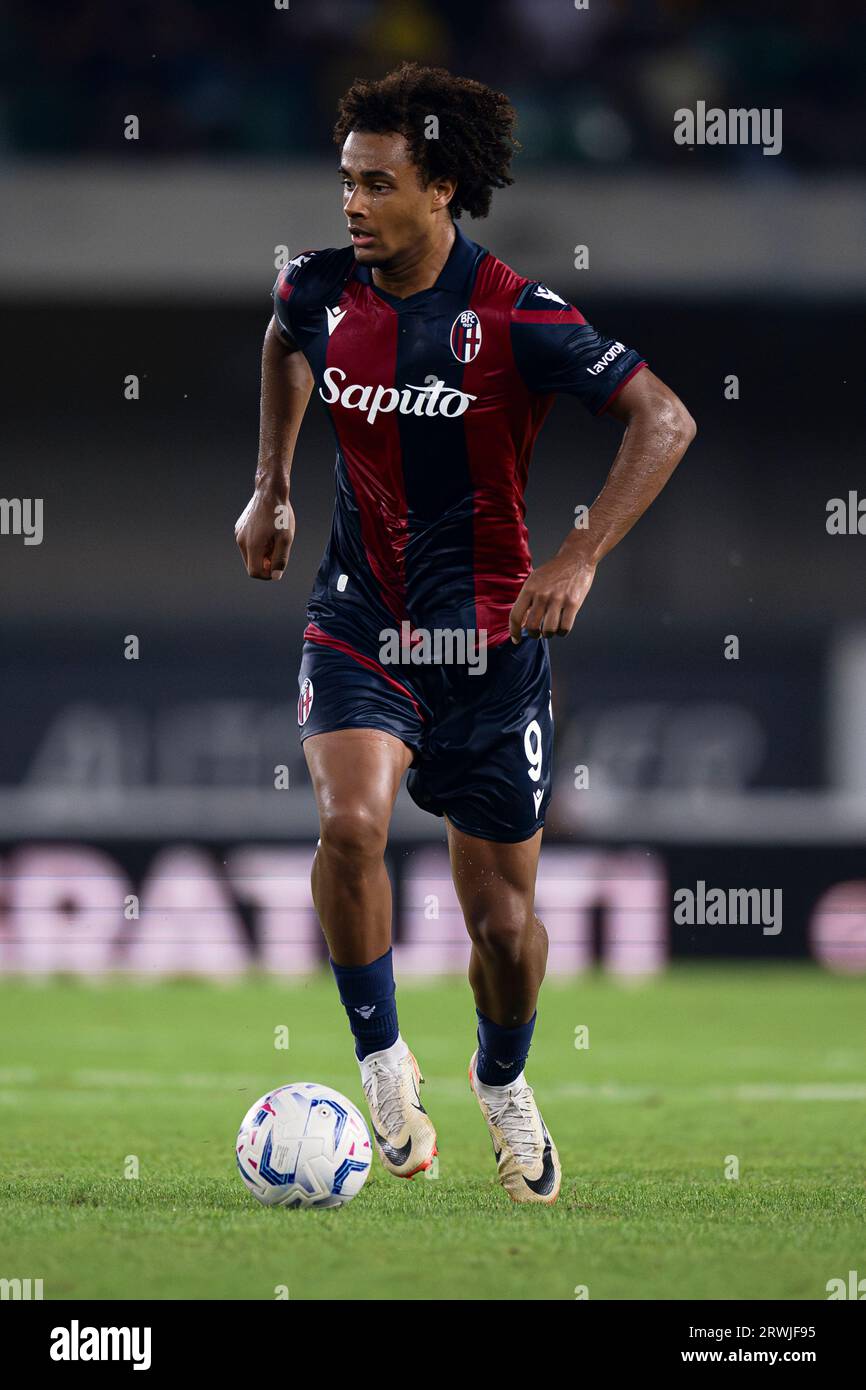 Joshua Zirkzee vom Bologna FC in Aktion während des Fußballspiels der Serie A zwischen Hellas Verona FC und Bologna FC. Stockfoto