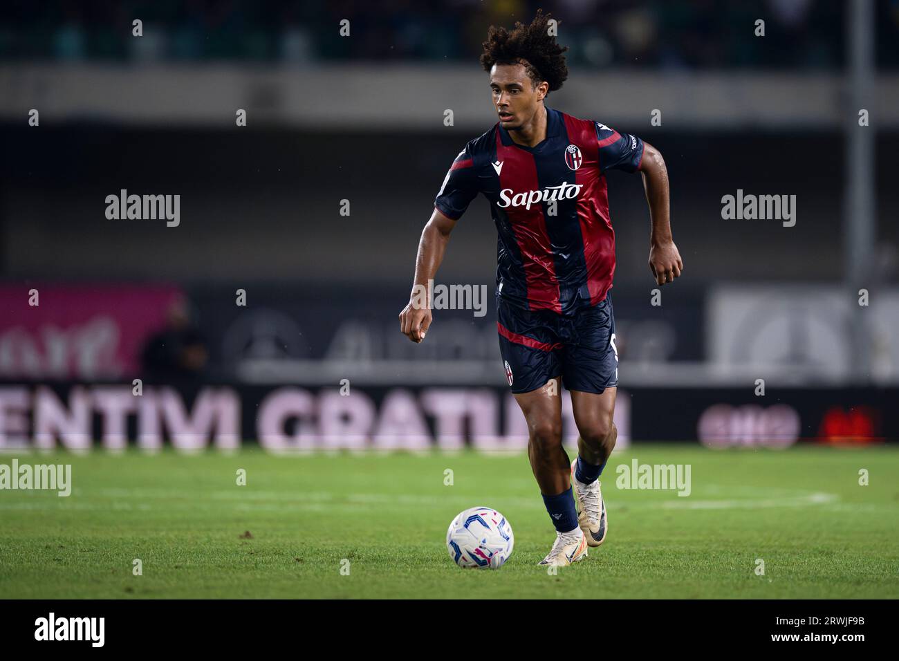 Joshua Zirkzee vom Bologna FC in Aktion während des Fußballspiels der Serie A zwischen Hellas Verona FC und Bologna FC. Stockfoto