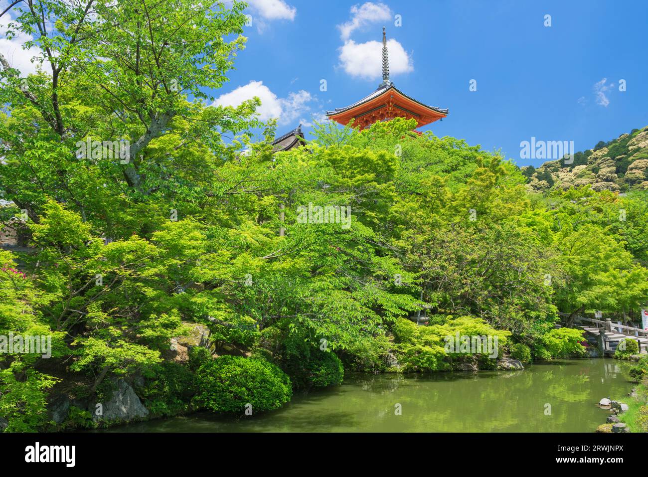 Dreistöckige Kiyomizu-dera-Pagode in frischem Grün Stockfoto