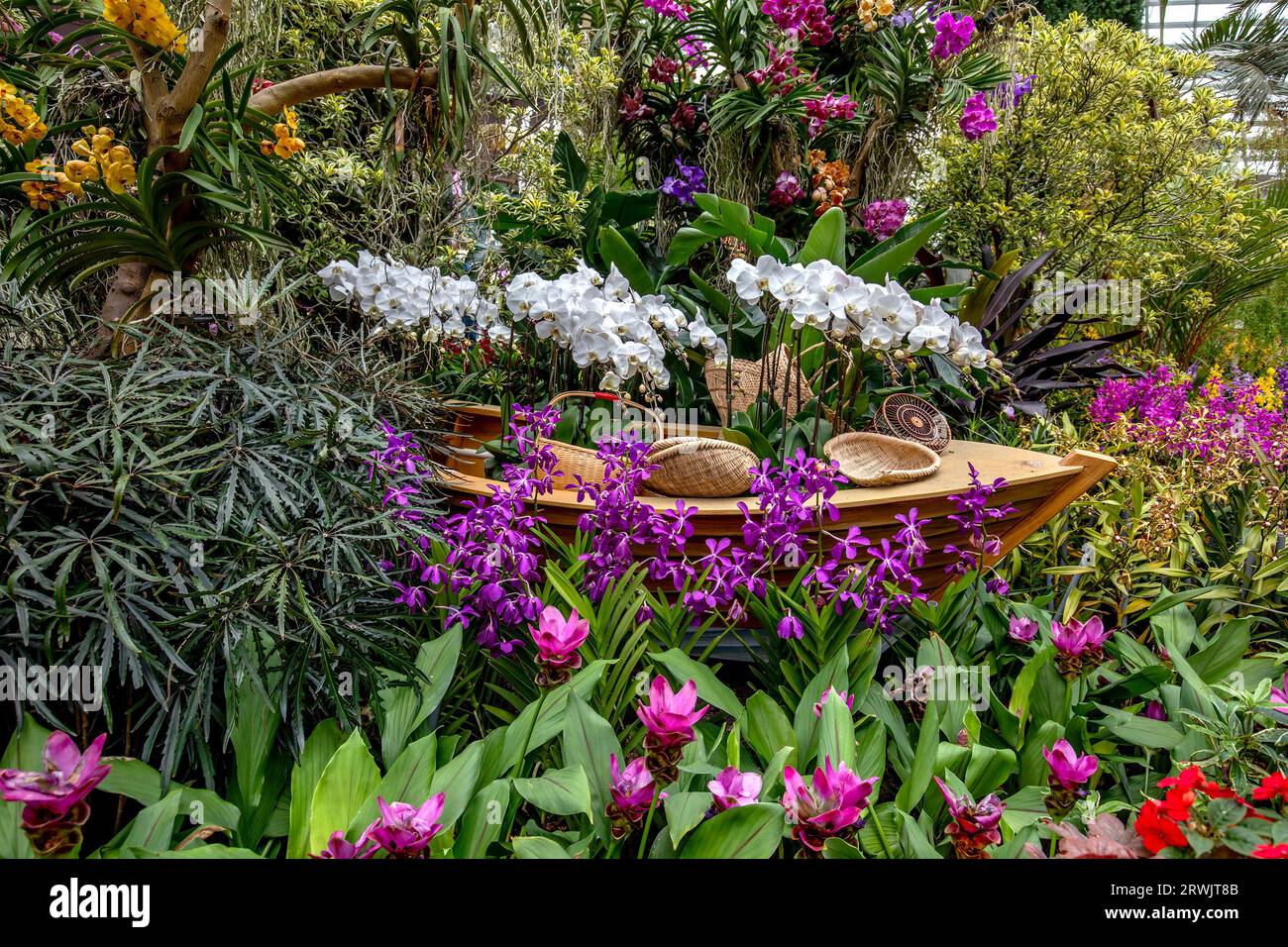 Der Flower Dome in Gardens by the Bay in Singapur. Die Orchid Extravaganza ist die Ausstellung. Stockfoto