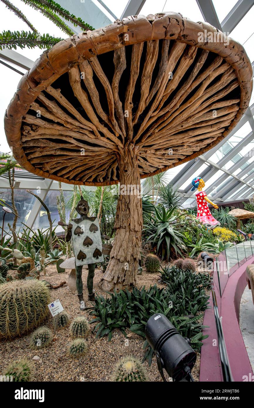 Der Flower Dome in Gardens by the Bay in Singapur. Diese Ausstellung zeigt einen hölzernen Pilz, der das Spazier schützt. Stockfoto