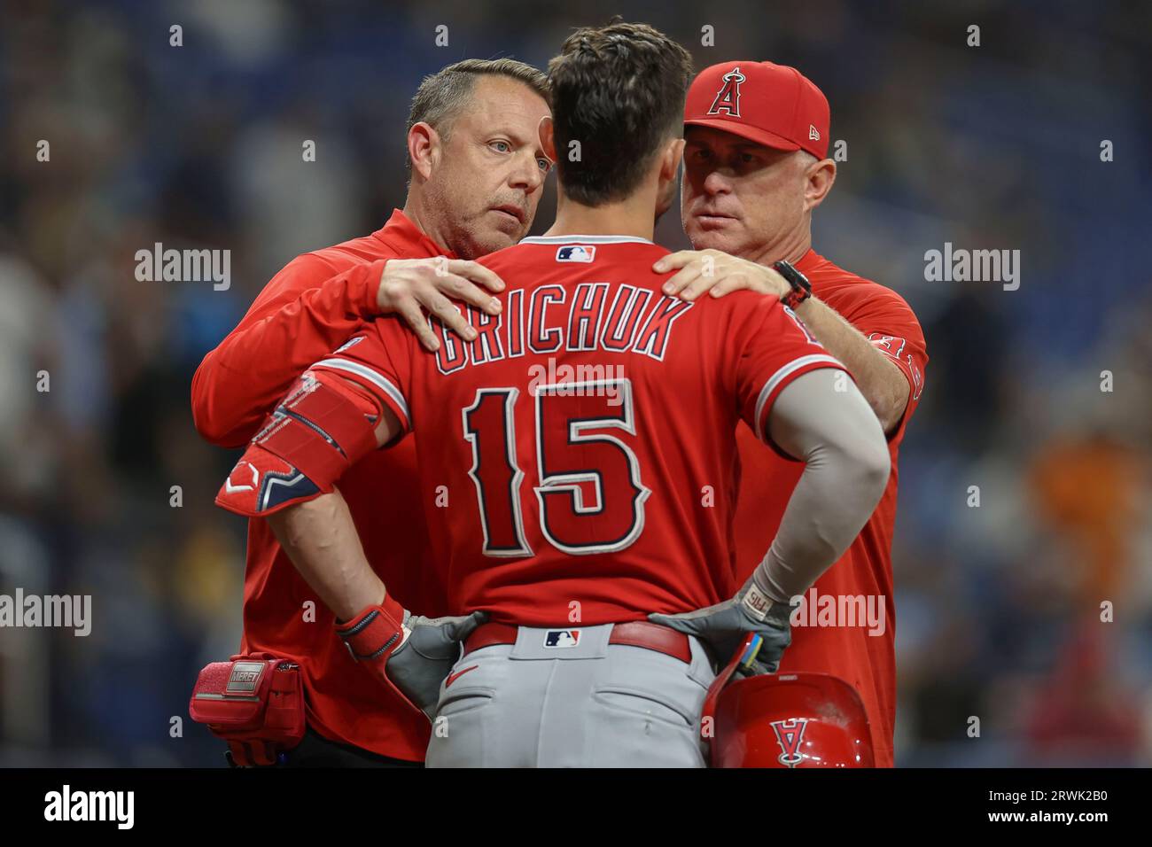 St. Petersburg, FL, USA; Randal Grichuk (15) wird von einem Pitch hart getroffen und von Phil, Manager der Los Angeles Angels, ausgecheckt Stockfoto