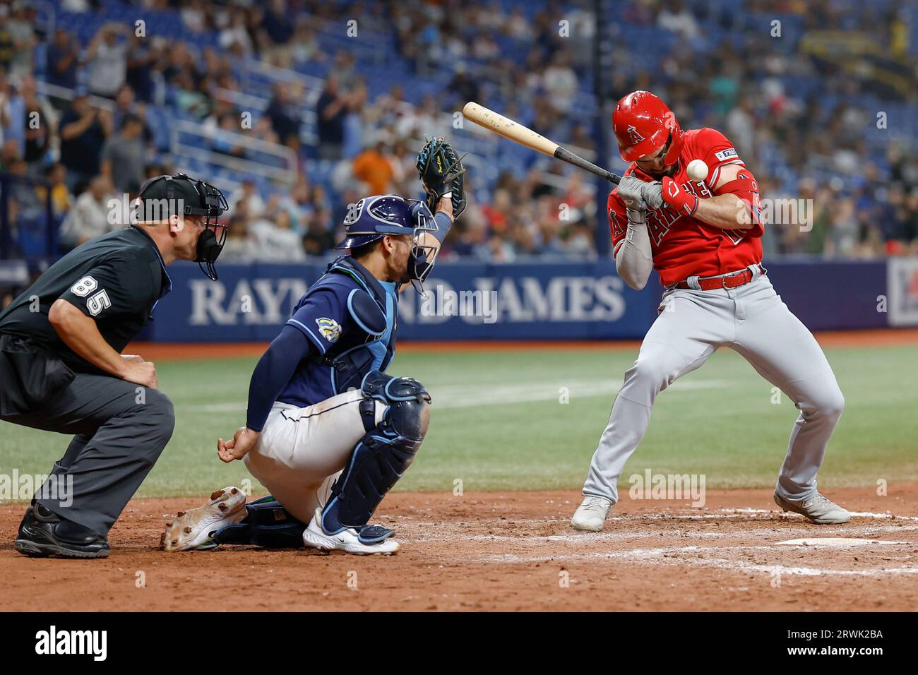 St. Petersburg, FL, USA; Randal Grichuk (15), der Right Fielder der Los Angeles Angels, wird während eines MLB-Spiels gegen die Tampa Bay Rays auf T hart getroffen Stockfoto