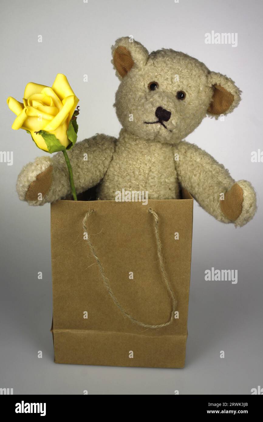 Teddybär in einer Geschenktüte Stockfoto