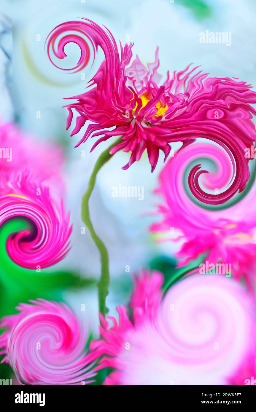 Digitale Verfremdung eines Blumenfotos Stockfoto