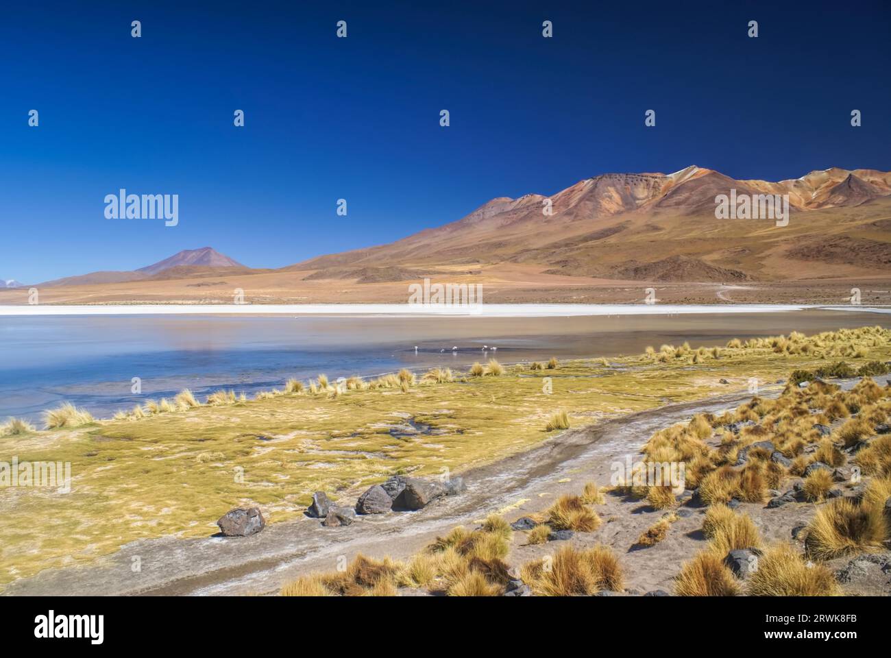 Malerische Flachwassersee in bolivianischen Wüste nahe der Salar de Uyuni Stockfoto