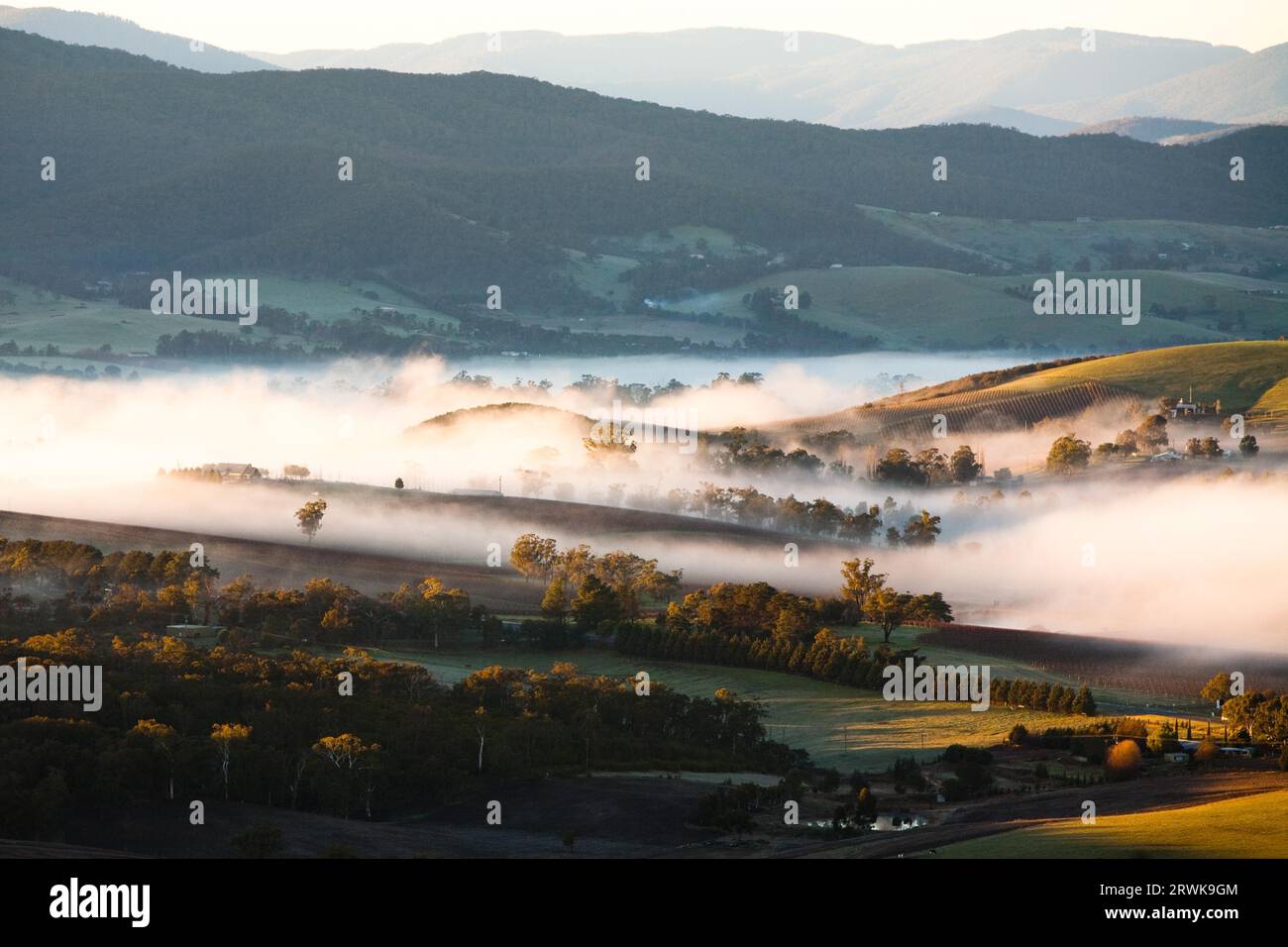Ein Ausblick über ein Tal bei Sonnenaufgang im Yarra Valley in Victoria, Australien Stockfoto