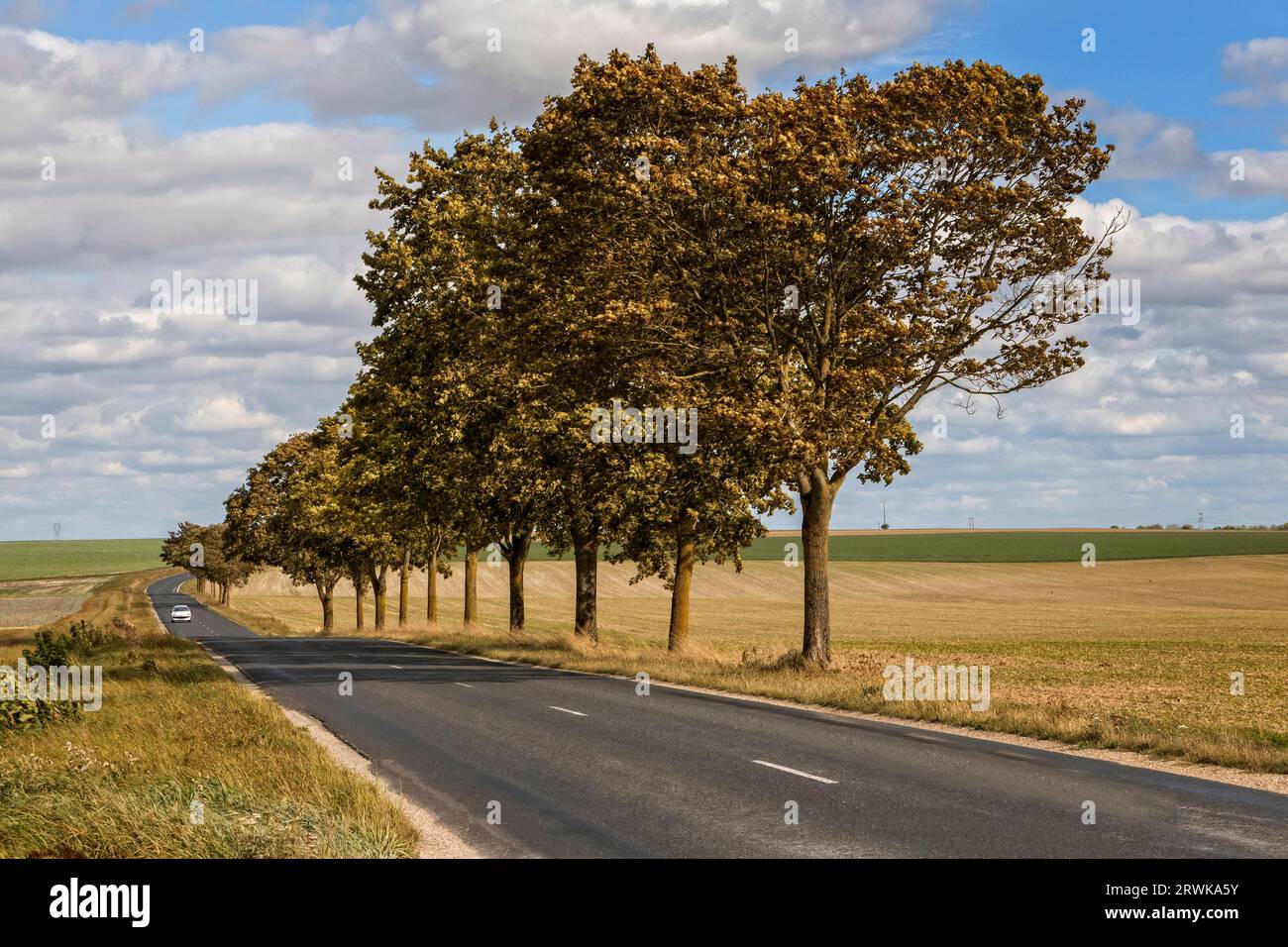 Alte, von Bäumen gesäumte Route Nationalstraßen im Nordosten Frankreichs Stockfoto