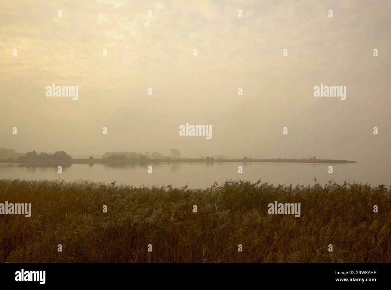 Die Insel Ummanz, Rügen, die auf dem Kubitzer und Schaproder Bodden liegt, ist schließlich die viertgrößte Insel in Mecklenburg-Vorpommern mit Stockfoto