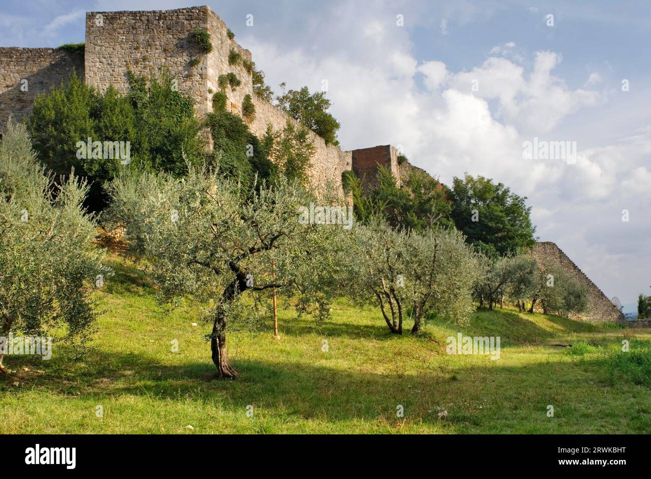 Schloss von San Gimignano Stockfoto