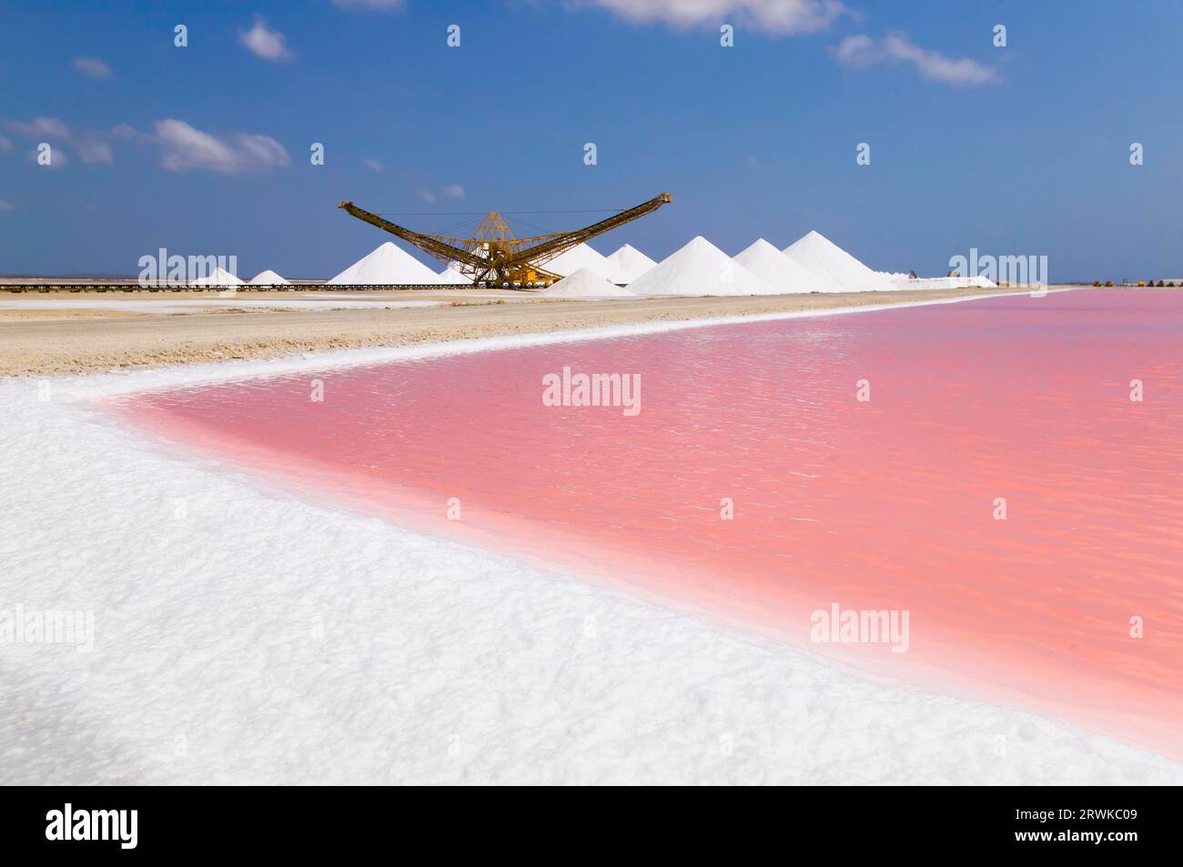 Salzverdampfungspeiche in Bonaire, ABC-Inseln Stockfoto