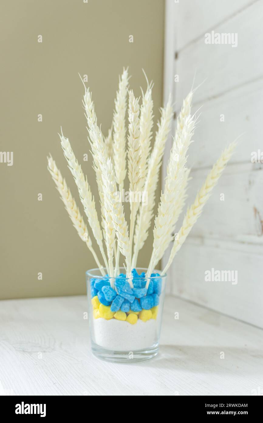 Weizenohren in blauer und gelber Vase. Getrocknete Pflanzen in ukrainischem Farbtopf. Weißer Weizen auf weißem Holzregal. Elegante Einrichtung mit Öko-Design. Müslistrauß. Stockfoto