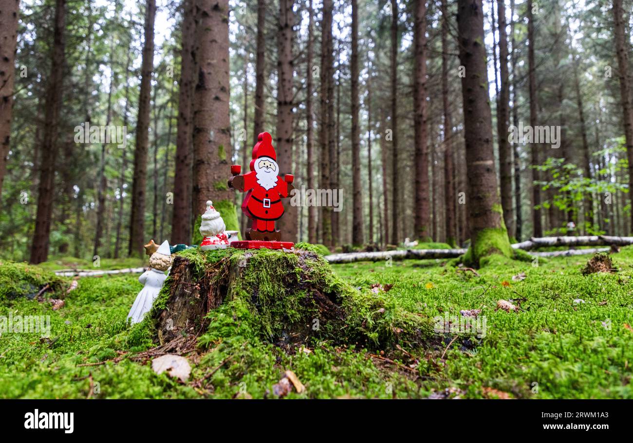 PFAS oben Leitwerte i​​n ein Wald, jemand, der kleine Porzellanfiguren, die Weihnachtsmänner usw. darstellen, im Wald platziert hat. Stockfoto