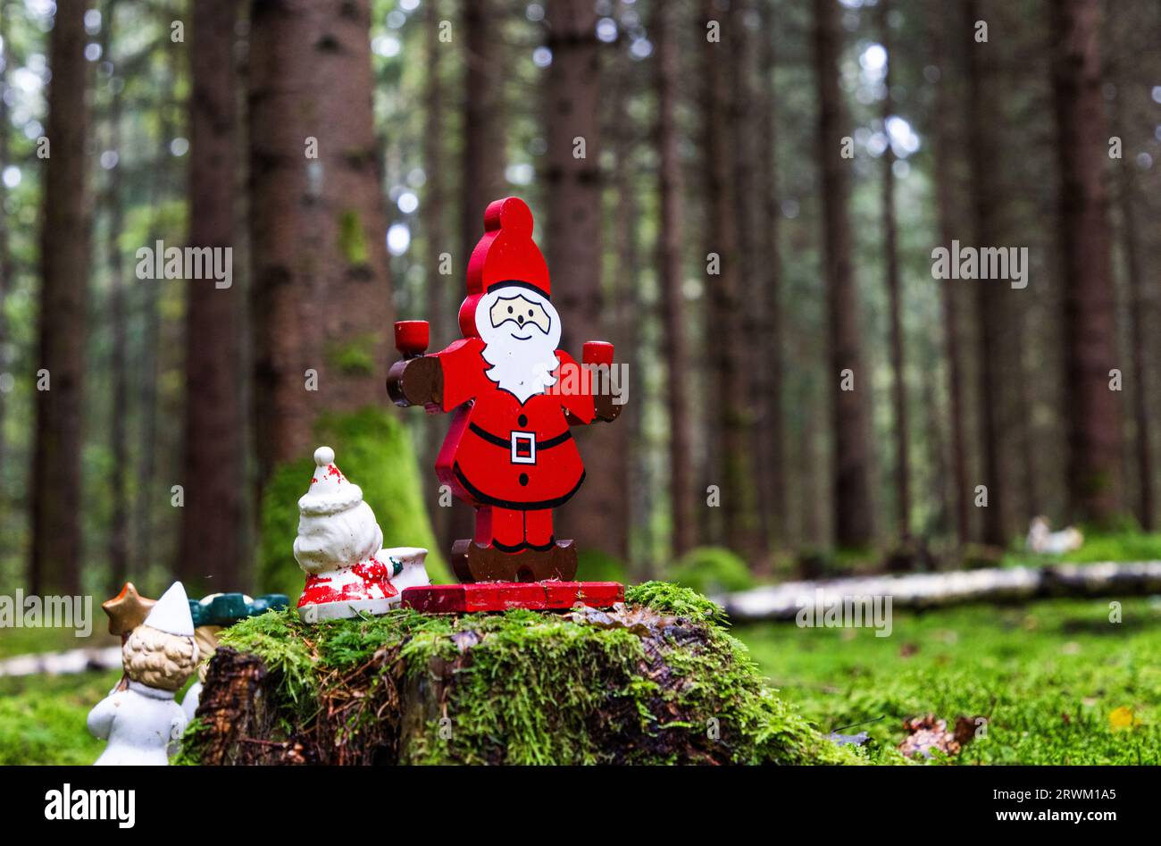 PFAS oben Leitwerte i​​n ein Wald, jemand, der kleine Porzellanfiguren, die Weihnachtsmänner usw. darstellen, im Wald platziert hat. Stockfoto