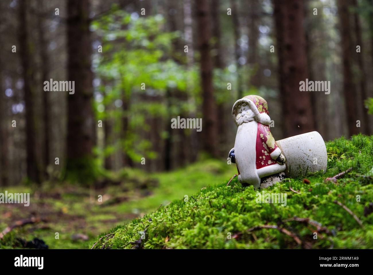 PFAS oben Leitwerte i​​n ein Wald, jemand, der kleine Porzellanfiguren, die Weihnachtsmänner usw. darstellen, im Wald platziert hat. Stockfoto