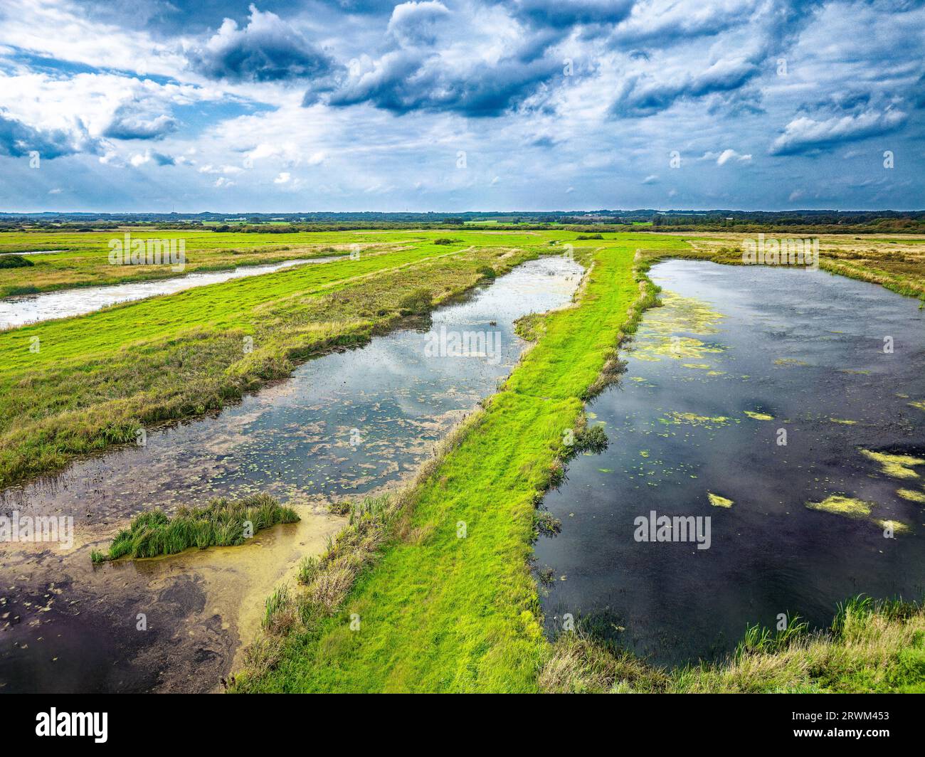 Feuchtgebiete in der Nähe von Uldum in Dänemark Stockfoto