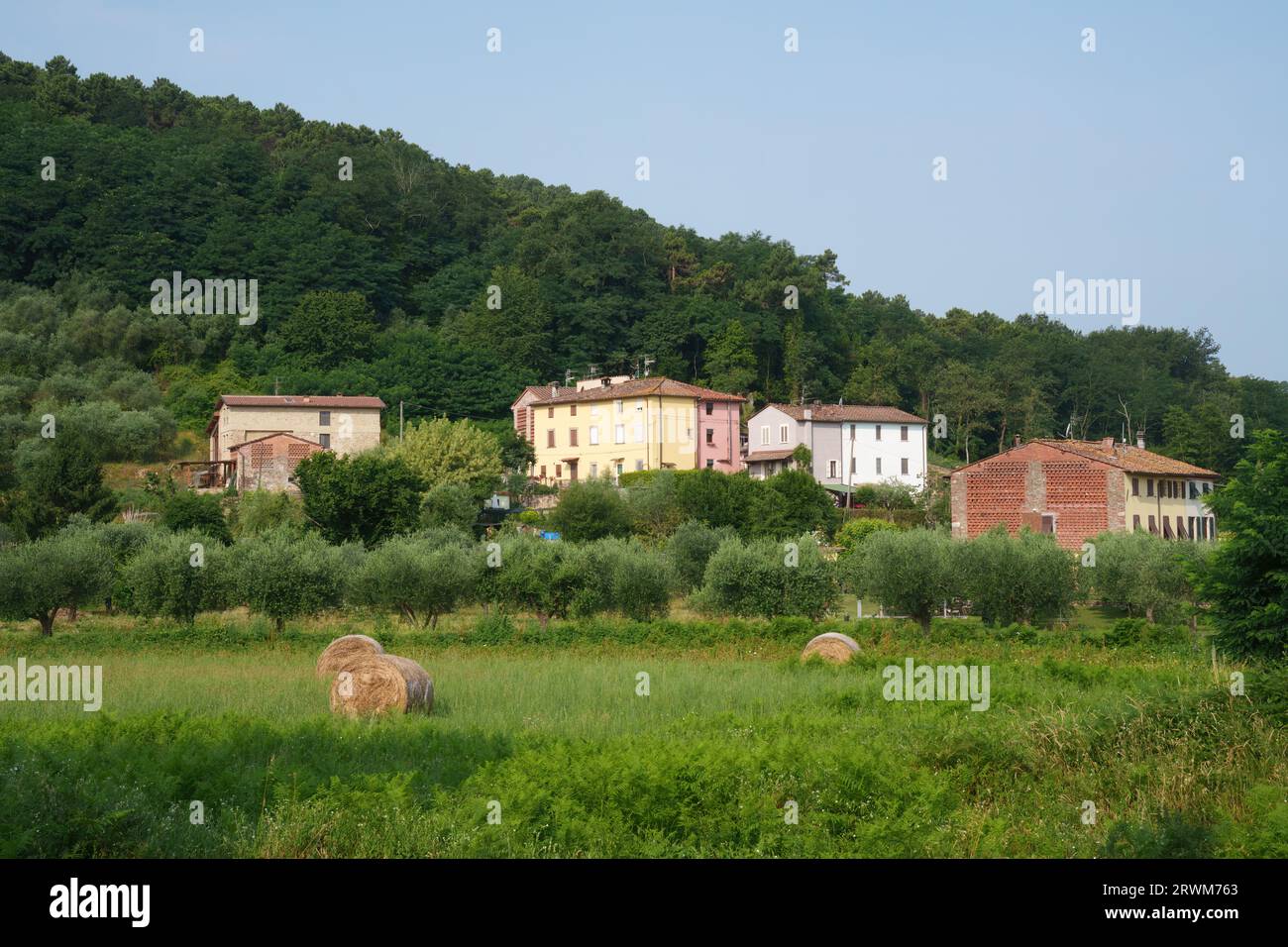Massa macinaia Fotos und Bildmaterial in hoher Auflösung Alamy