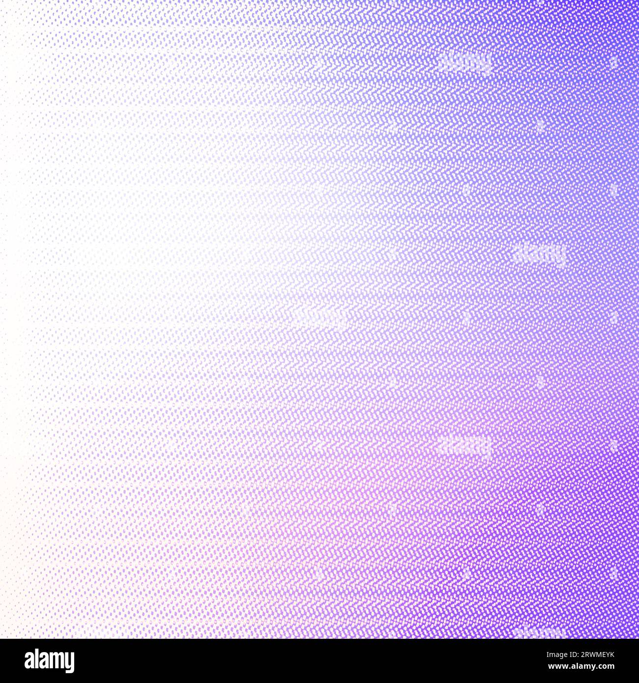 Violetter, weißer quadratischer Hintergrund mit Kopierraum für Text oder Bild, am besten geeignet für Online-Anzeigen, Poster, Banner, Verkauf, Karte, Feiern und vieles mehr Stockfoto