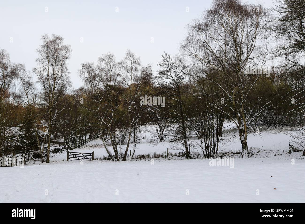 Schneeszene im Winter in Großbritannien Stockfoto