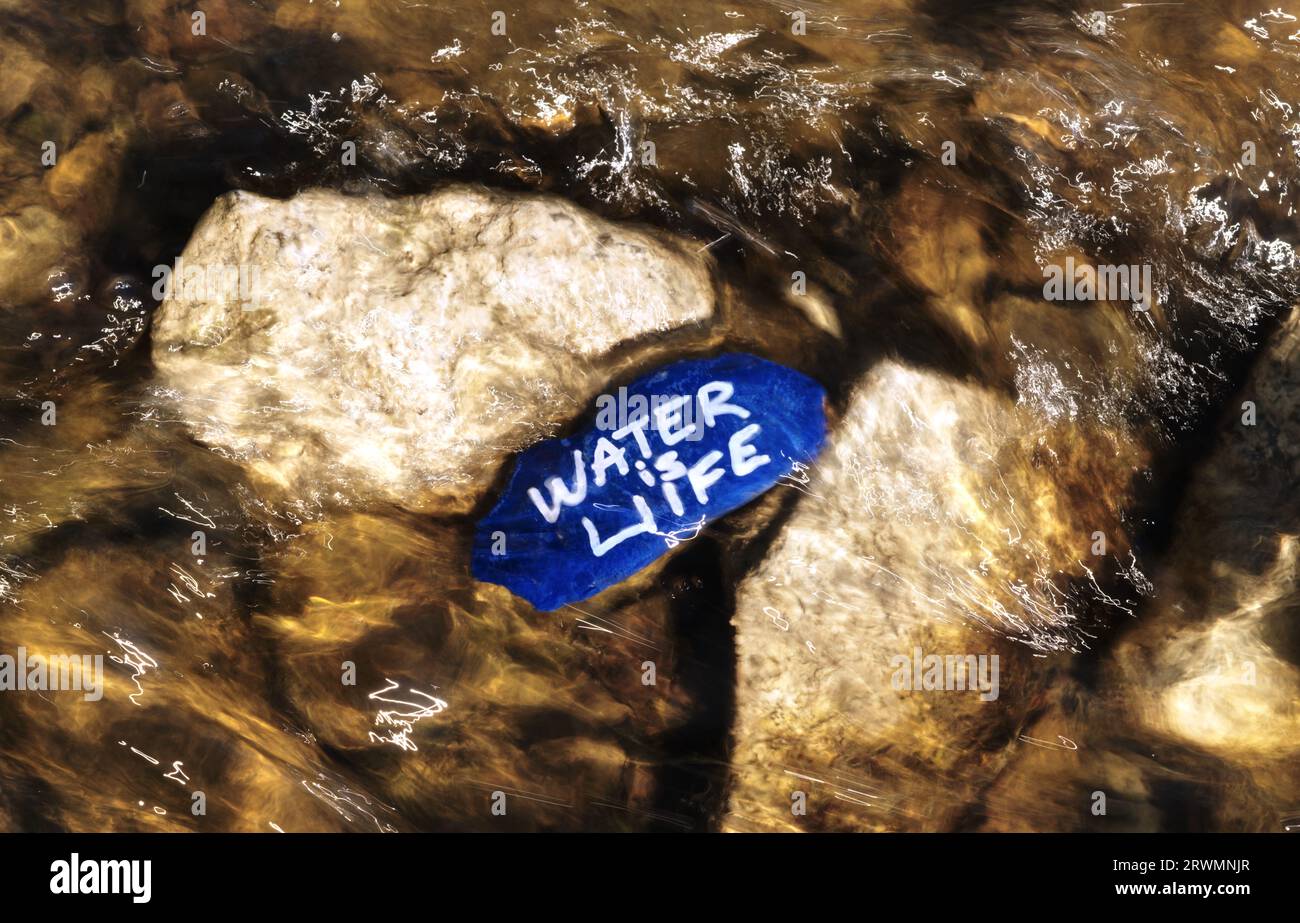 Ein Nahbild eines blauen Steins mit der Aufschrift „Water Life“ (Wasserleben), der in flachem, klarem Wasser ruht Stockfoto