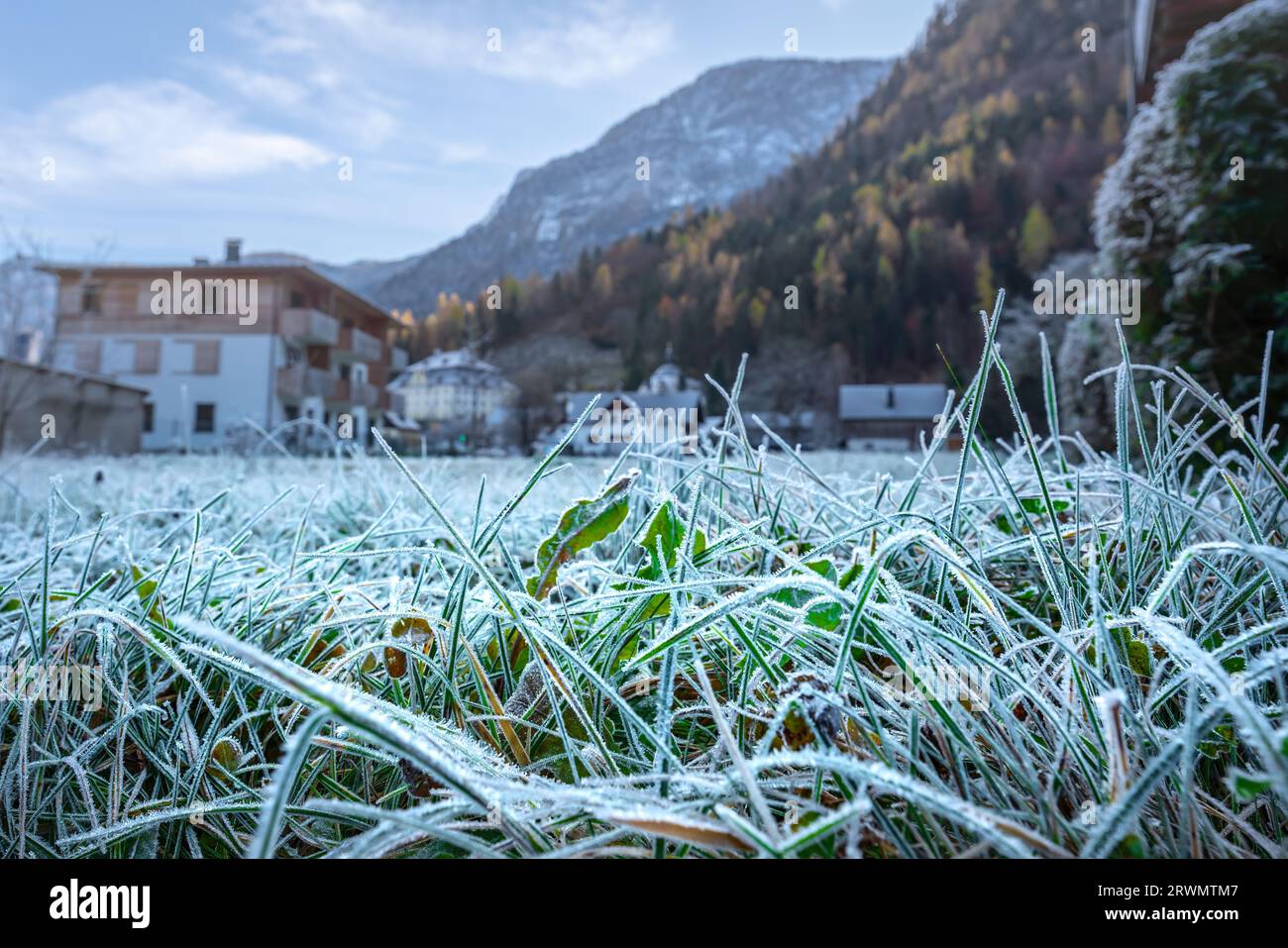 Gras mit Frost - Hallstatt, Österreich Stockfoto