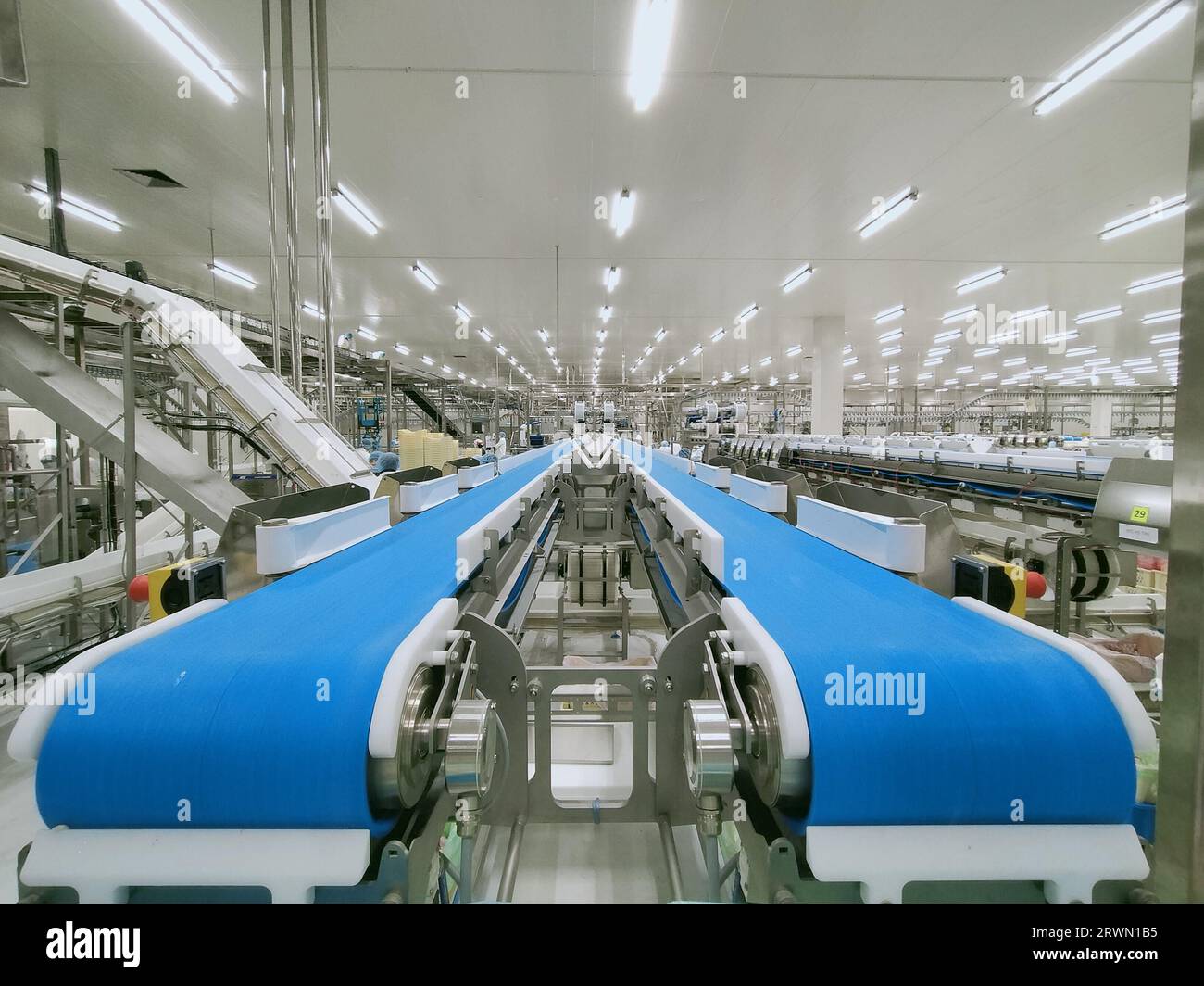Leeres Förderband in der Produktionslinie der Lebensmittelverarbeitungsfabrik. Geflügelverarbeitungsindustrie. Produktionslinie für rohes Hühnerfleisch. Geflügelverarbeitung Stockfoto