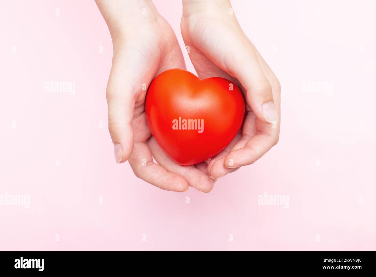 Kinderhände halten ein rotes Herz als Symbol für Pflege, Liebe, Unterstützung und Schutz isoliert auf pinkfarbenem Hintergrund. Kindergesundheitskonzept. Stockfoto