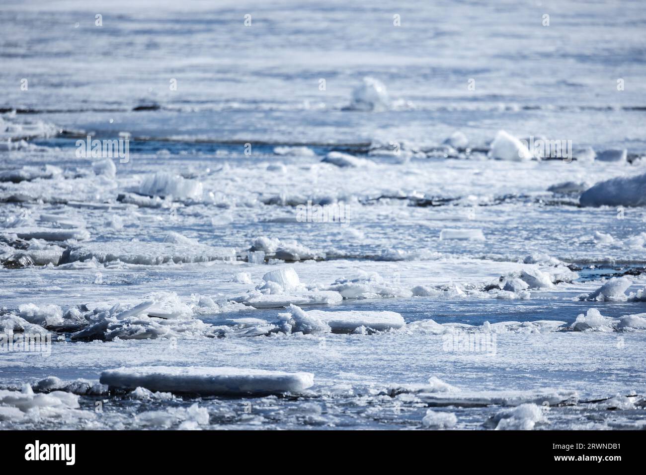 Gefrorene Ostseeoberfläche mit Bruchstücken von zerbrochenem dünnem Eis und Schnee, natürliches Hintergrundfoto mit selektivem Weichfokus Stockfoto