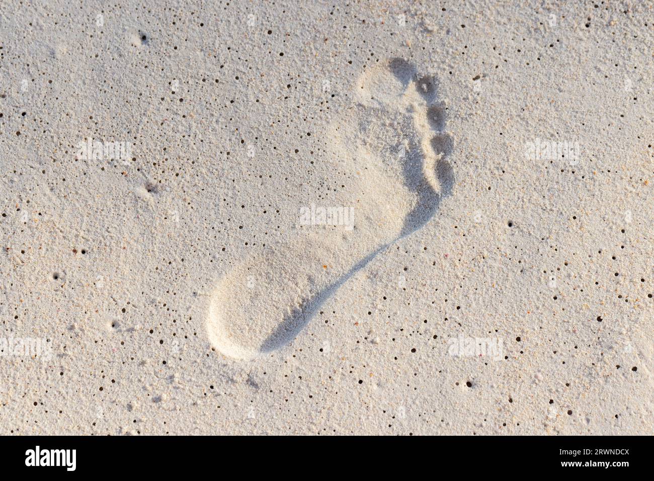 Menschlicher Fußabdruck im nassen weißen Sand am Strand, Nahaufnahme, Draufsicht Stockfoto