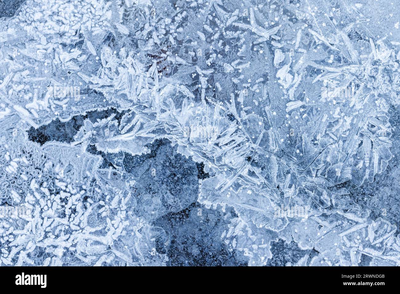 Dünnes Eis bedeckt den Winterboden, Draufsicht. Gefrorene Flussoberfläche, Makrofoto, natürliche Hintergrundtextur Stockfoto