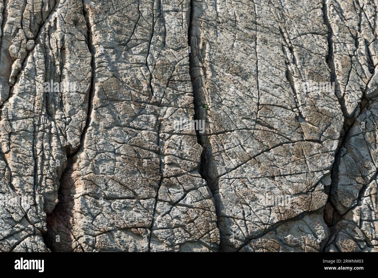 Detail der Felsrisse im Flysch von Cantabria, Spanien Stockfoto