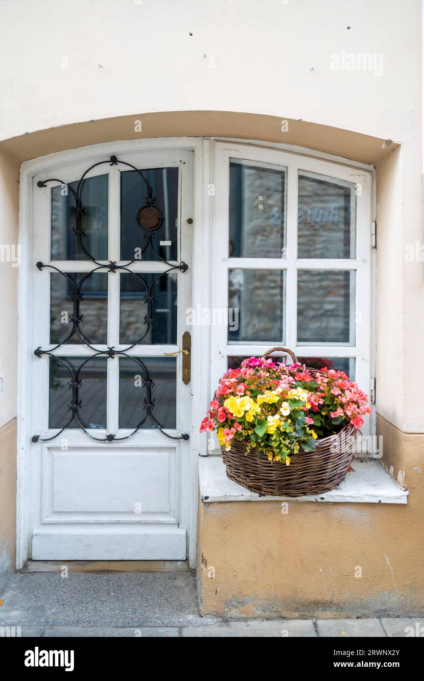 Korb mit roten und gelben Begonien und Efeu auf der Fensterbank am Eingang zum Geschäft als Dekoration des Straßenraumes Stockfoto