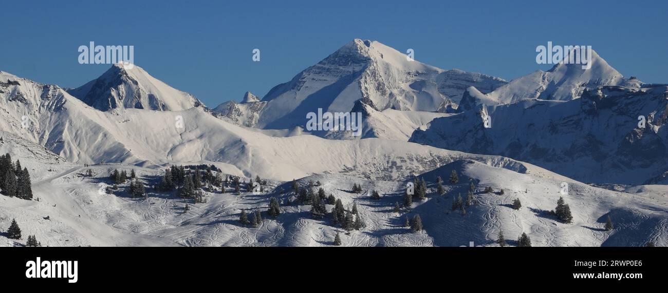 Gebirgszüge des Berner Oberlandes im Winter. Altels, Balmhorn und andere hohe Berge im Winter. Stockfoto