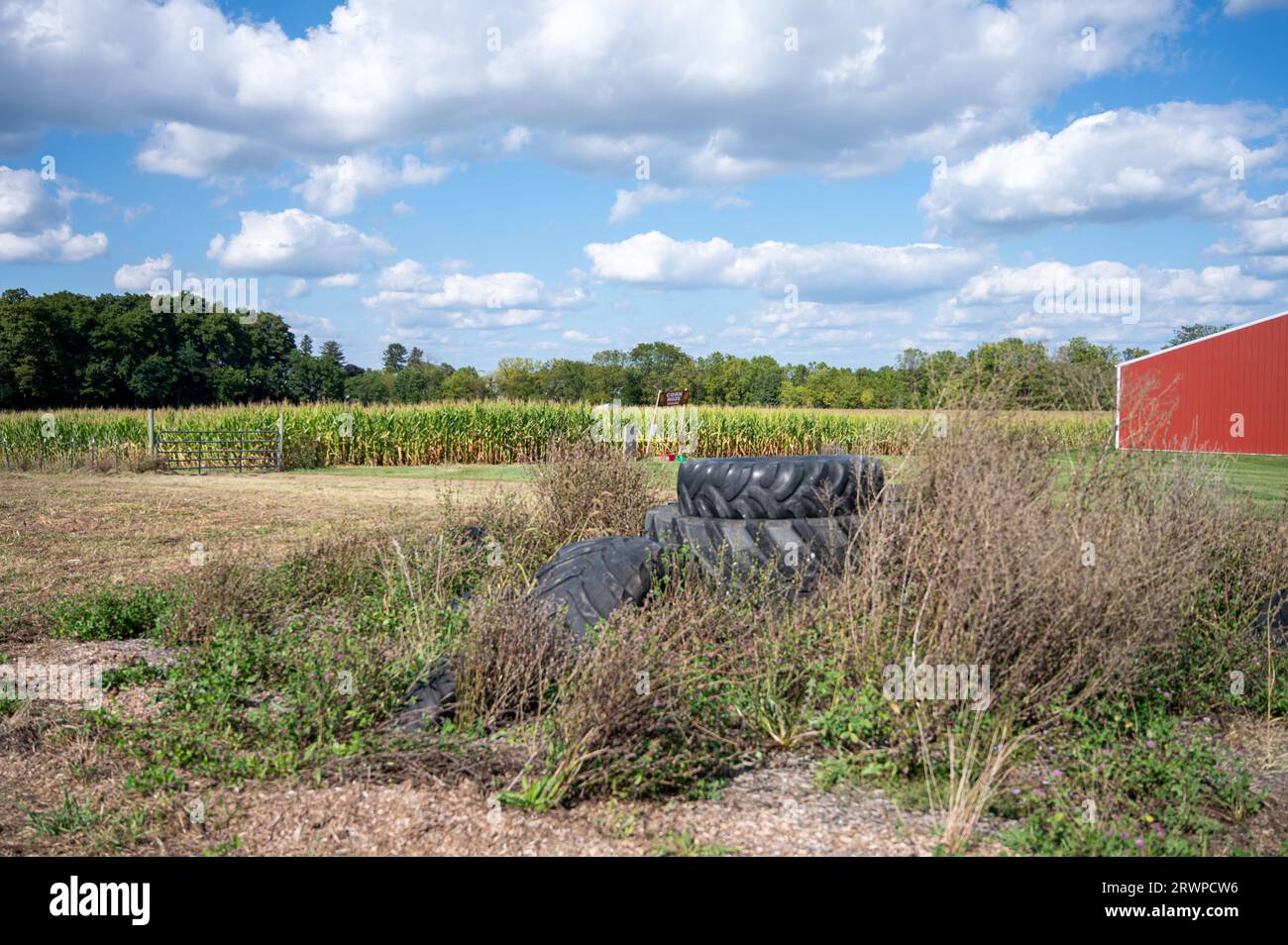 Traktorreifen, die an sonnigen Tagen auf dem Feld liegen. Stockfoto