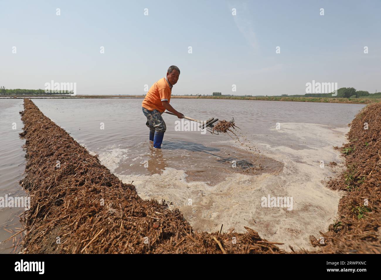 LUANNAN COUNTY, China - 5. Mai 2022: Bauern fischen auf der Wasseroberfläche nach Abschaum und bereiten Reistransplantationen auf einer Farm in Nordchina vor Stockfoto