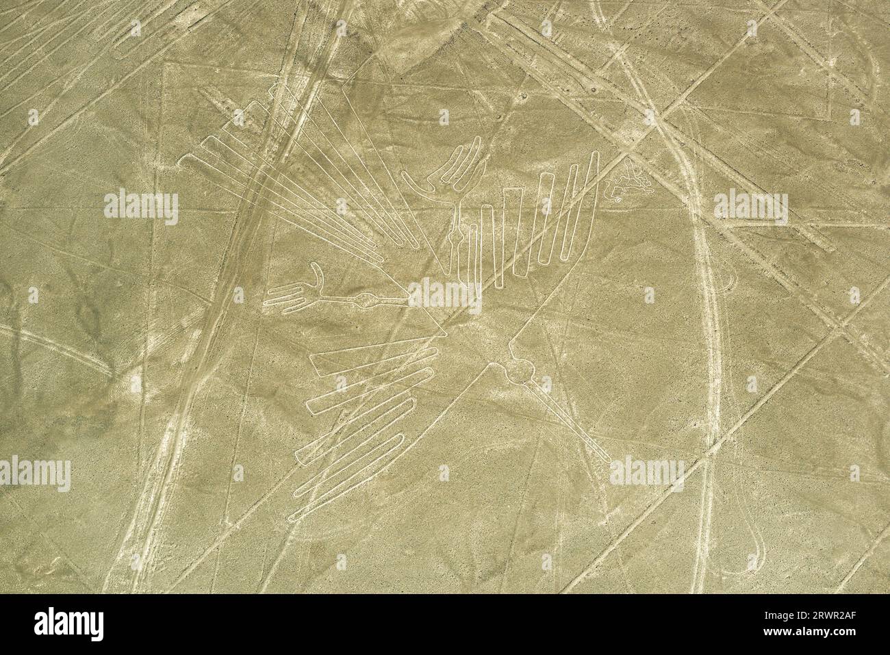 Nazca-Linien-Geoglyph des Kondors, Nazca-Wüste, Peru. Stockfoto