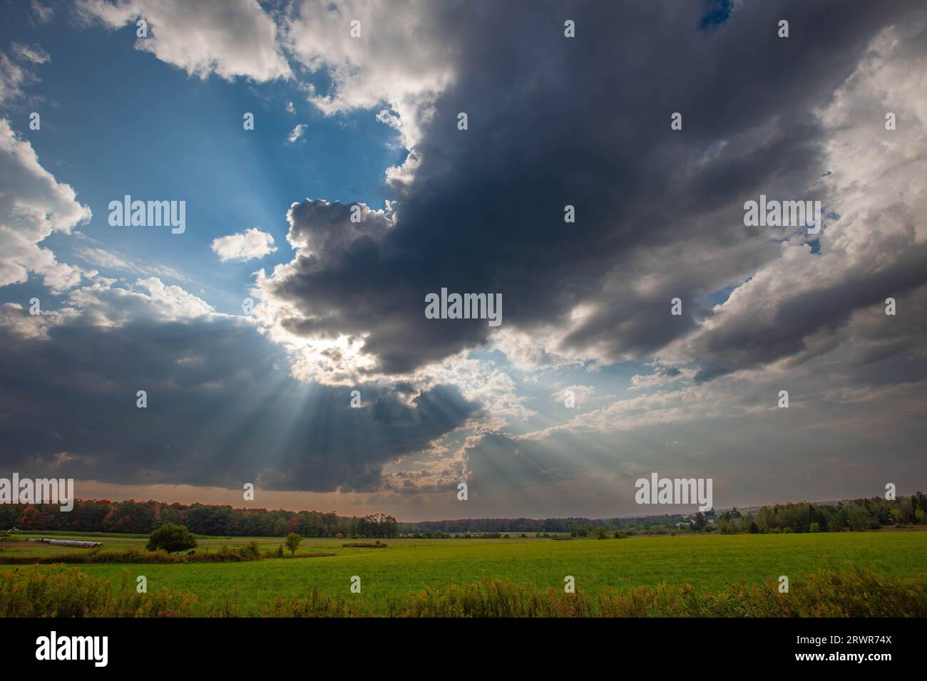 Wisconsin Ackerland mit Sonnenstrahlen, die im September horizontal aus den Wolken kommen Stockfoto