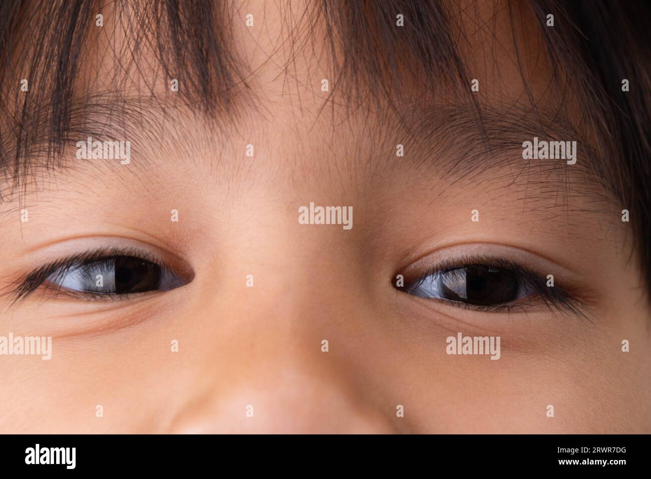 Nahaufnahme eines zugeschnittenen Porträts eines lächelnden kleinen Mädchens, das die Kamera anschaut. Schöne Augen eines asiatischen Mädchens Stockfoto