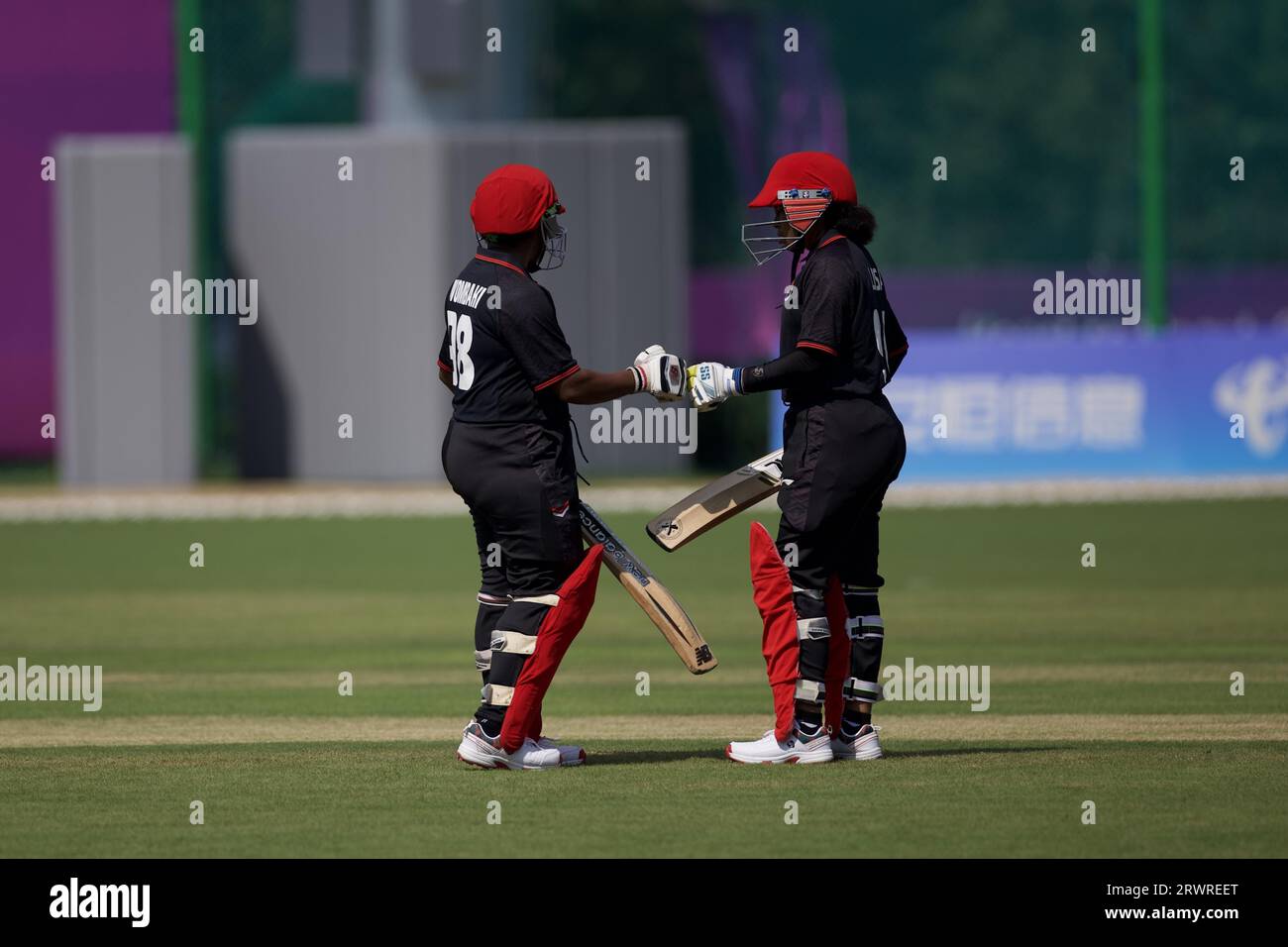 Das Cricket-Spiel der Hangzhou Asian Games beginnt am 19. September 2023 in Hangzhou City in der ostchinesischen Provinz Zhejiang. Stockfoto