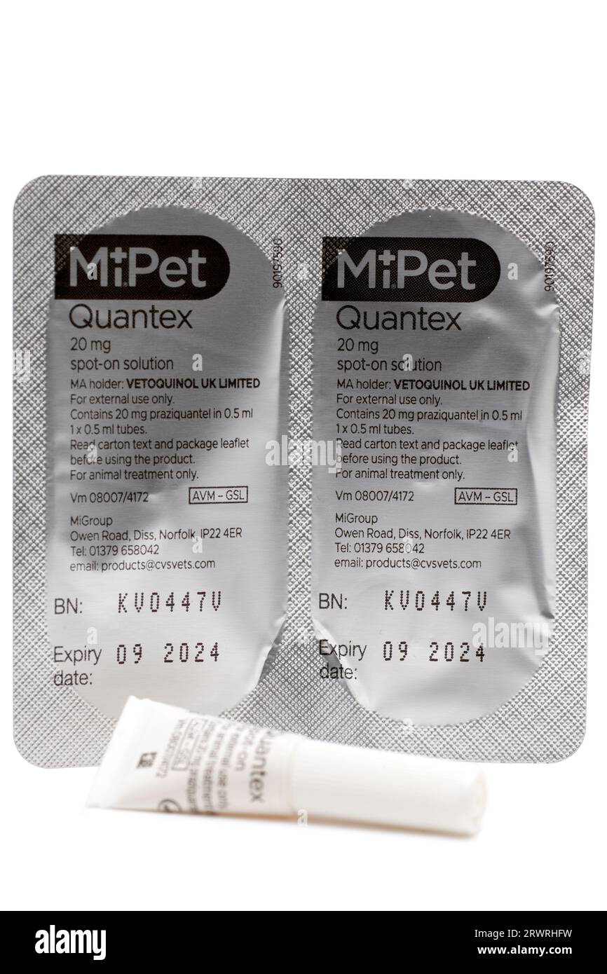 Zwei MiPet Quantex Cat Spot auf 0,5 ml Pipettenlösung Bandwurmbehandlung für Katzen Stockfoto