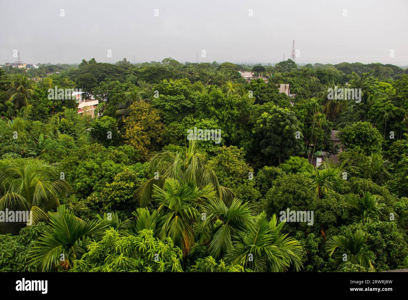 Arial View Green Forest Photography aus Ruhitpur, Bangladesch, am 05. September 2022 Stockfoto