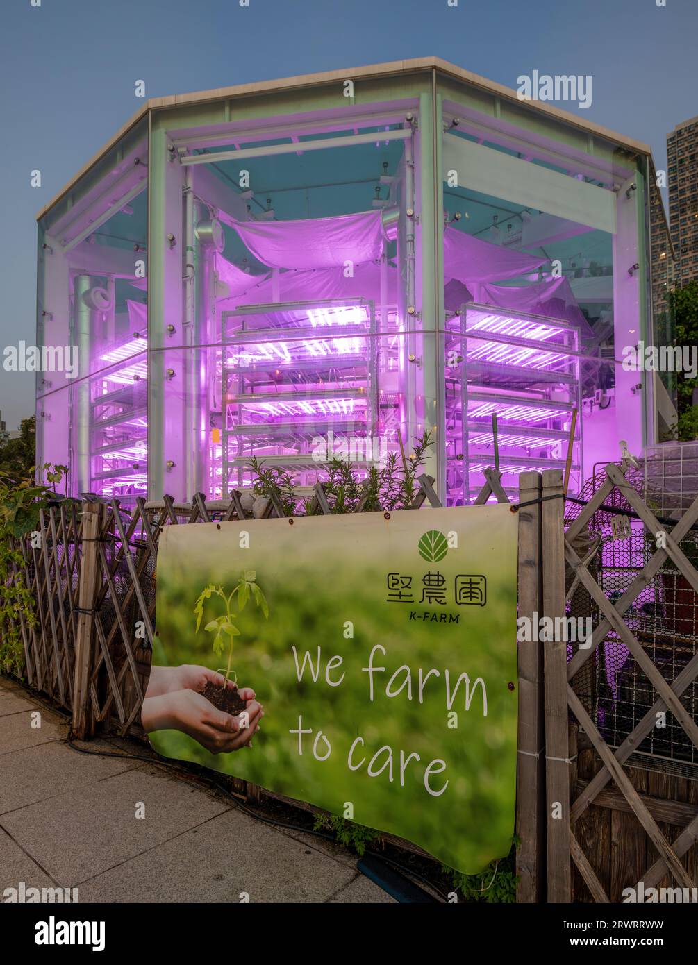 K-FARM der erste städtische Bauernhof in Hongkong, der Hydrokultur, Aquaponik und biologische Landwirtschaftssysteme umfasst. Hongkong, China. Stockfoto