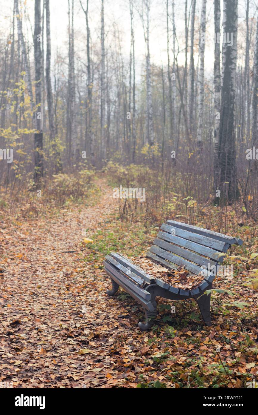 Blaue Bank am Ende des Herbstes im Park Stockfoto