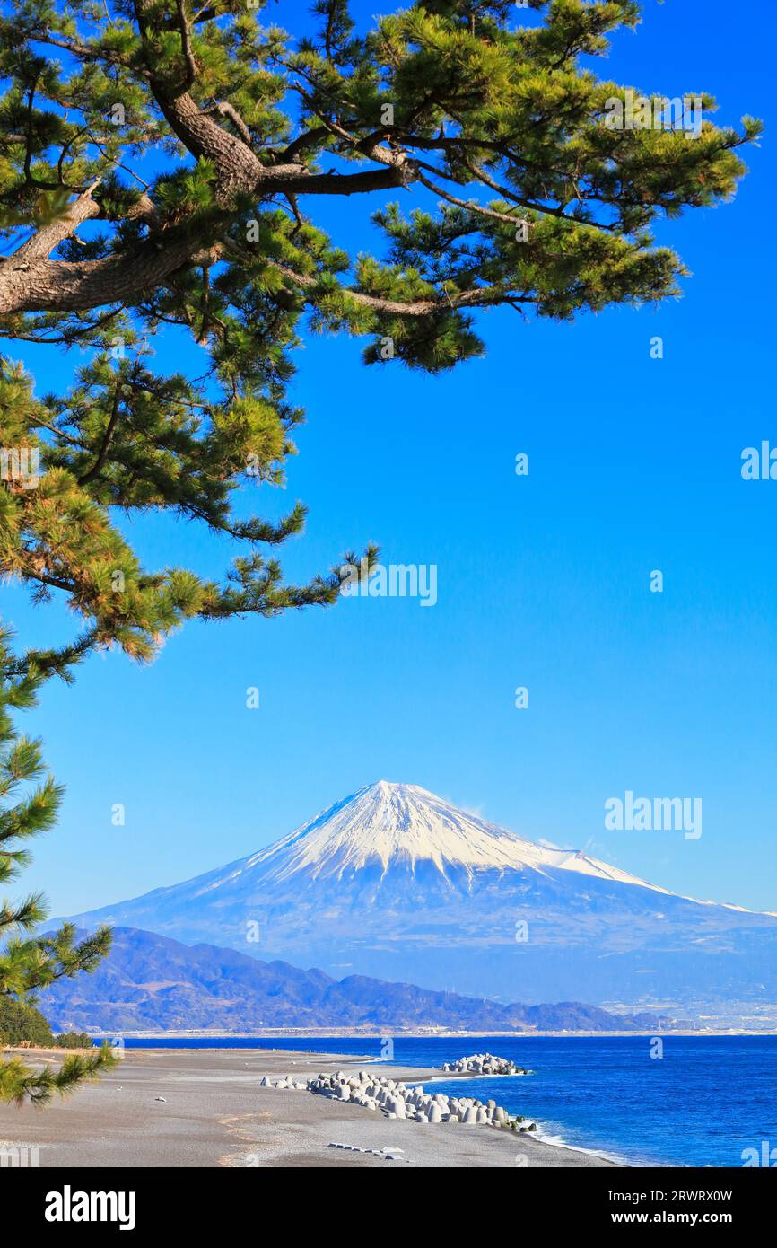 Fuji im klaren Himmel von Miho Pine Grove Stockfoto