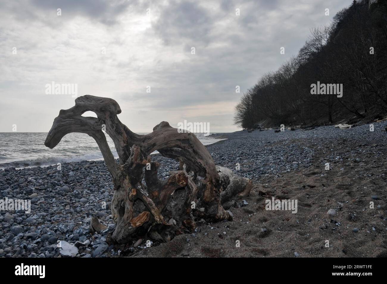 Kreideküste, Stubbenkammer, Stubnitz, Nationalpark Jasmund, Rügeninsel, Ostsee, Mecklenburg-Vorpommern Stockfoto