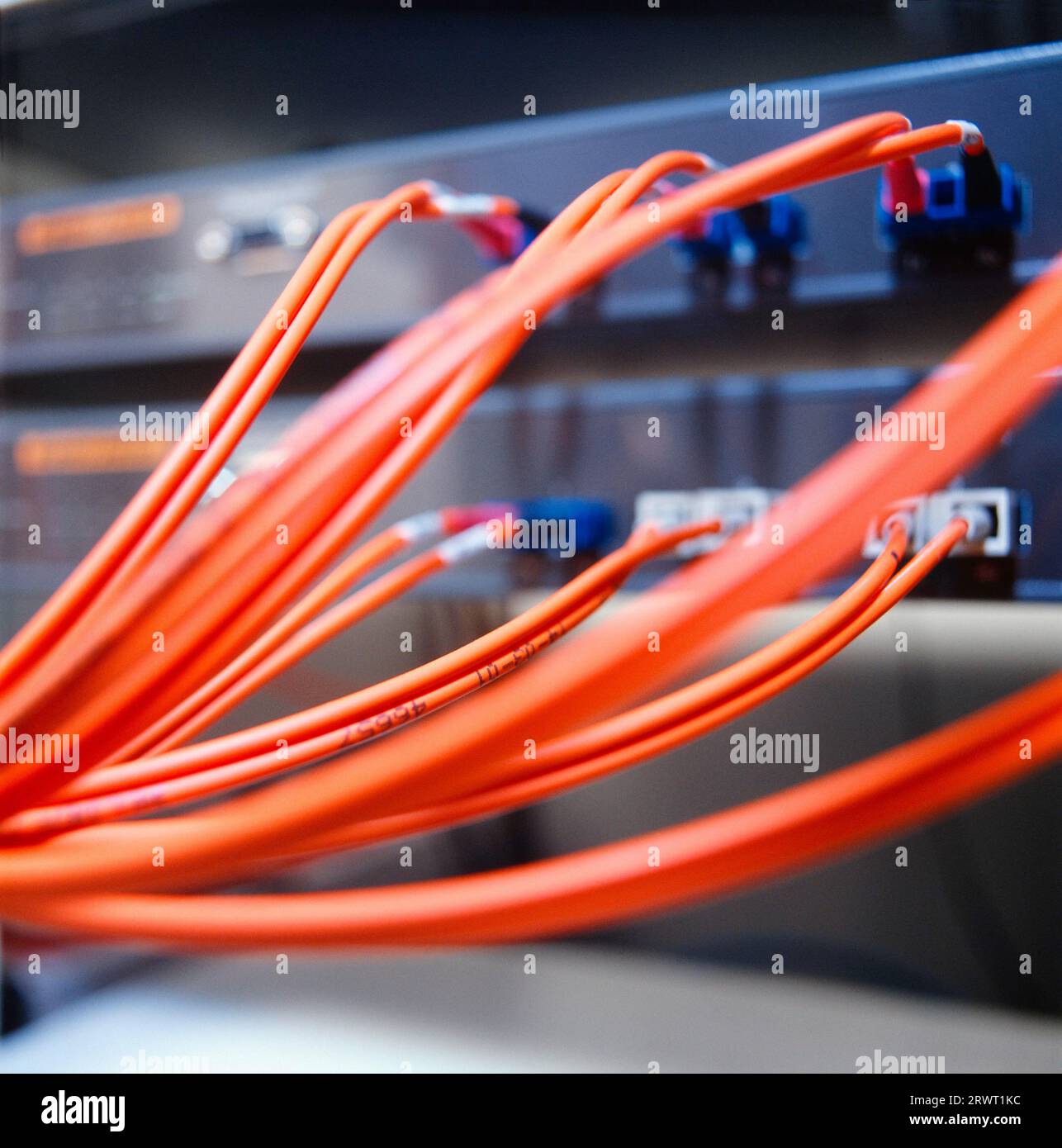 Kabel eines Computernetzwerks, selektive Kratzer Stockfoto