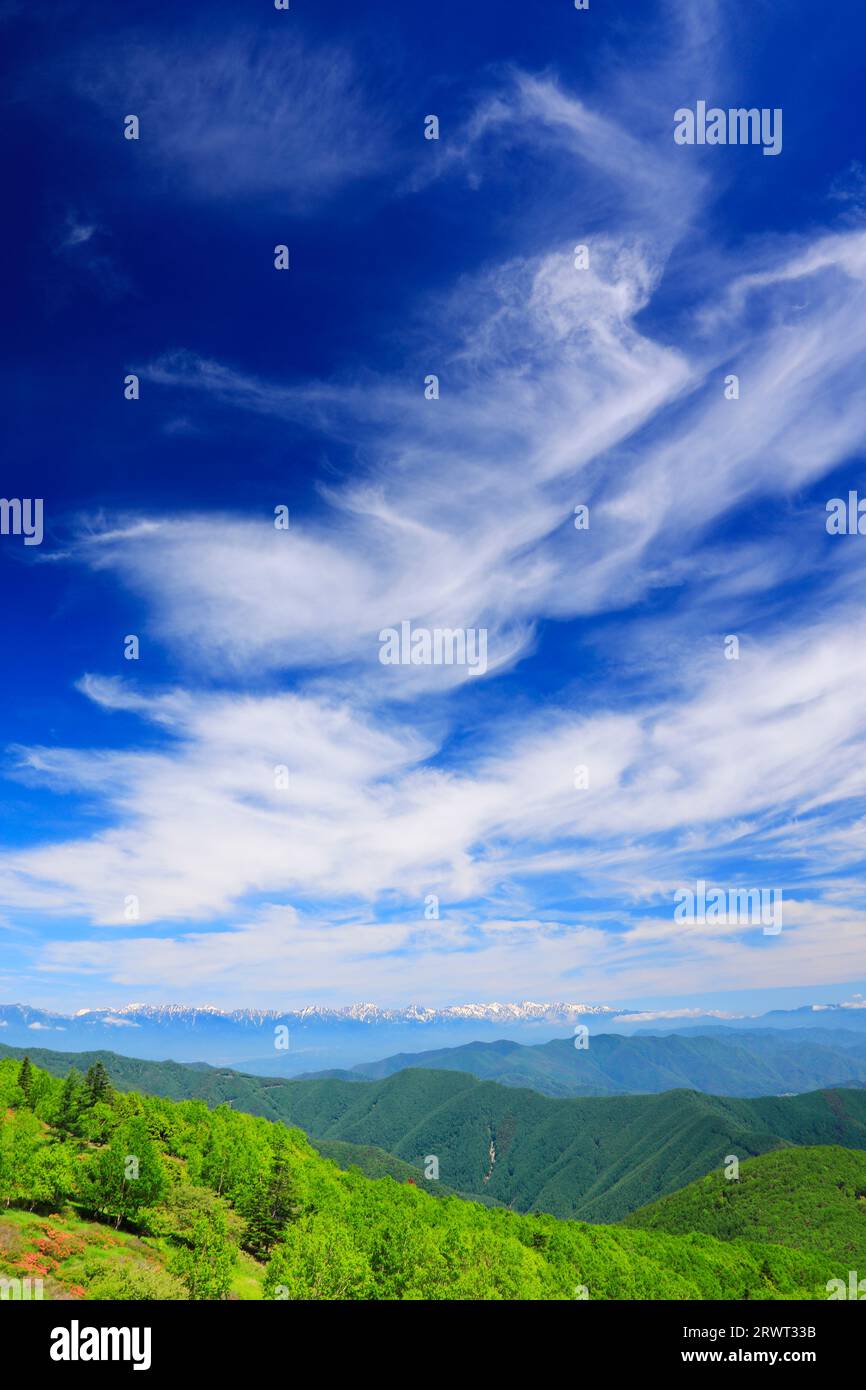 Frischer grüner Birkenwald, Hakuba-Gebirge und andere Bergketten und Zirruswolken Stockfoto